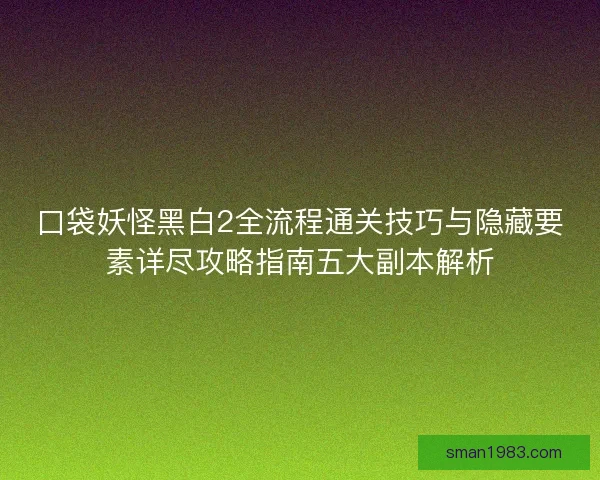 口袋妖怪黑白2全流程通关技巧与隐藏要素详尽攻略指南五大副本解析